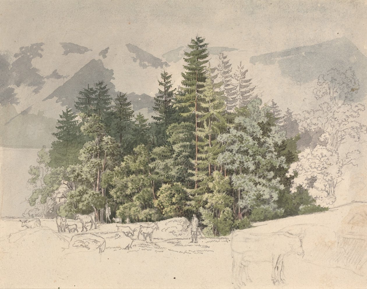 Alplandskap (gouache över grafit) av Friedrich Salathe