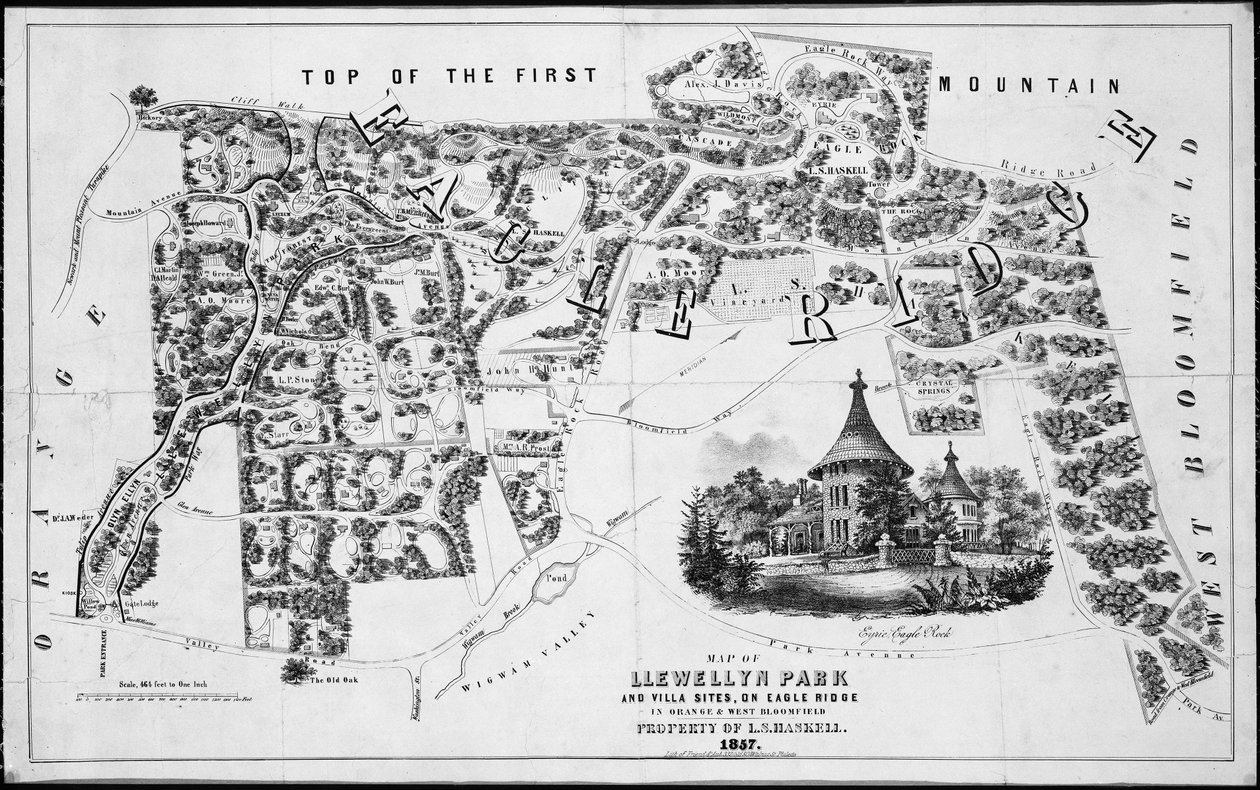 Karta över Llewellyn Park and Villa Sites, på Eagle Ridge i Orange & West Bloomfield, 1857., 1857. av Friend and Aub
