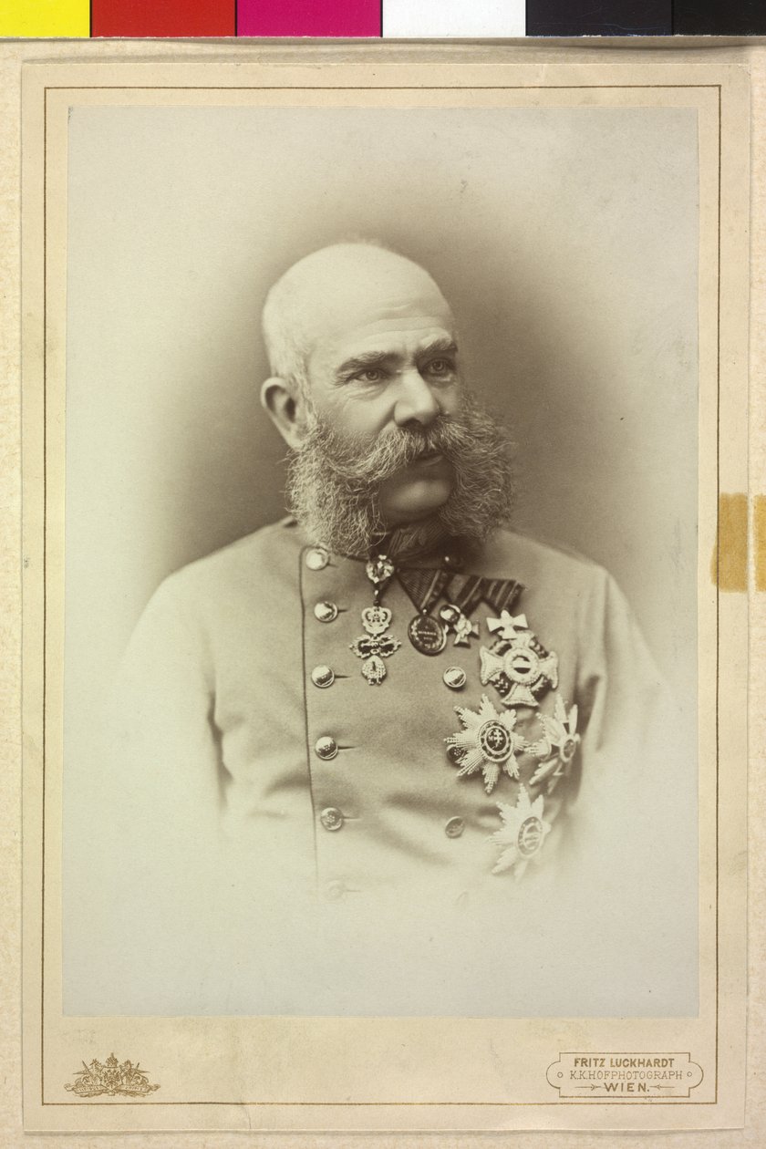 Franz Joseph I av Fritz Luckhardt