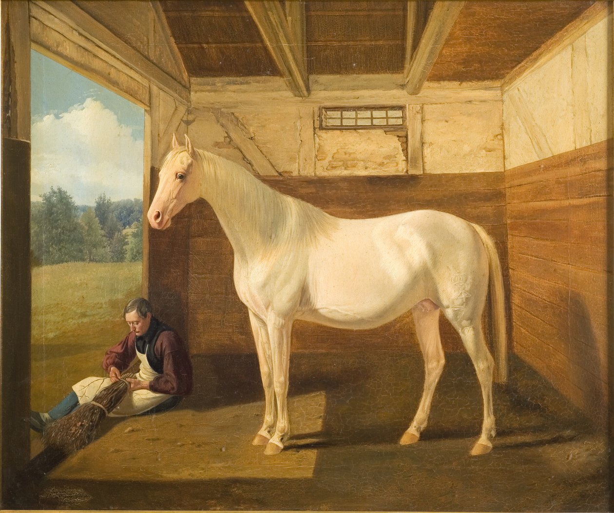 Svanvit av Fritz Thomsen