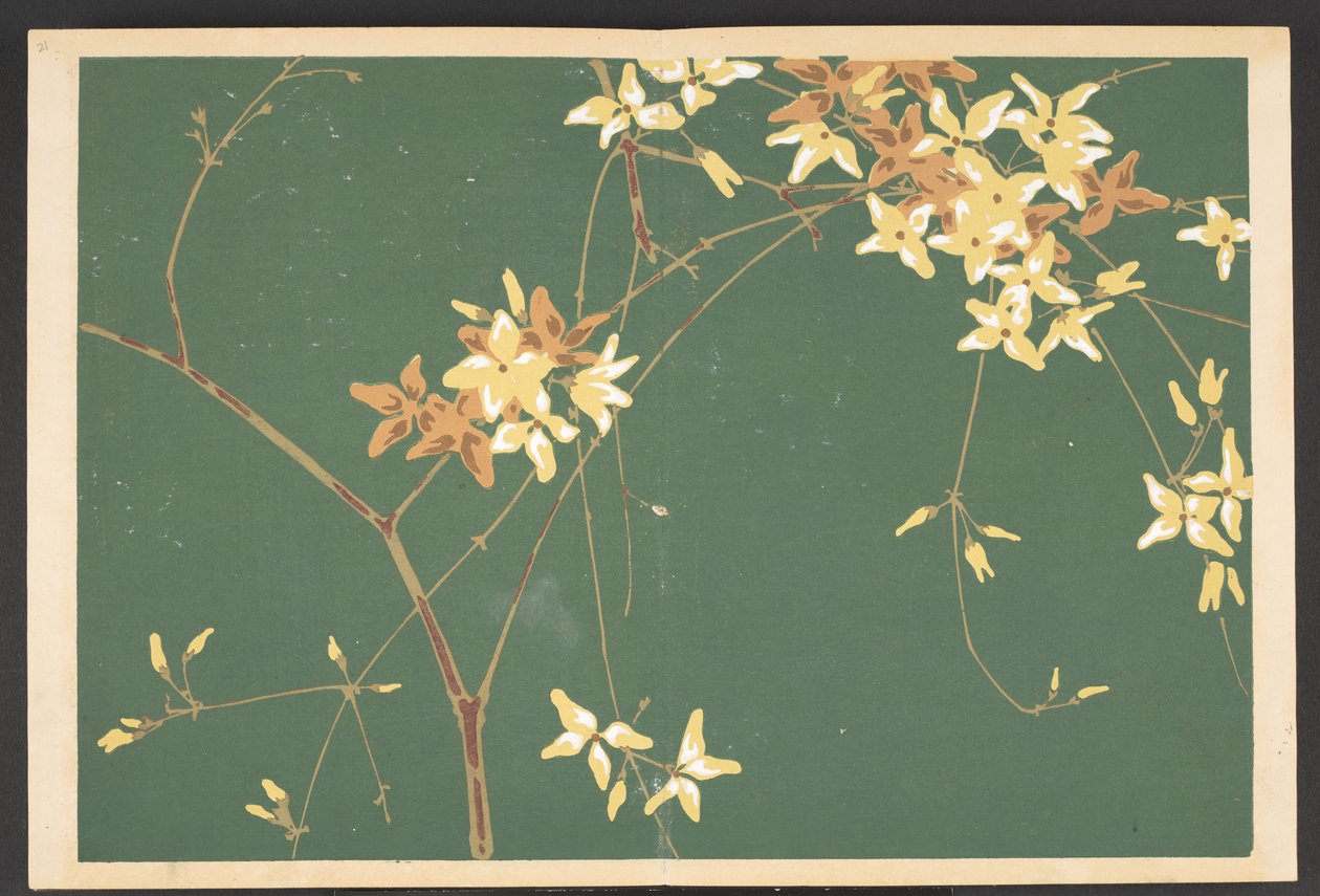 Shasei sôka môyô, Mönster av växter och blommor från livet av Furuya Korin