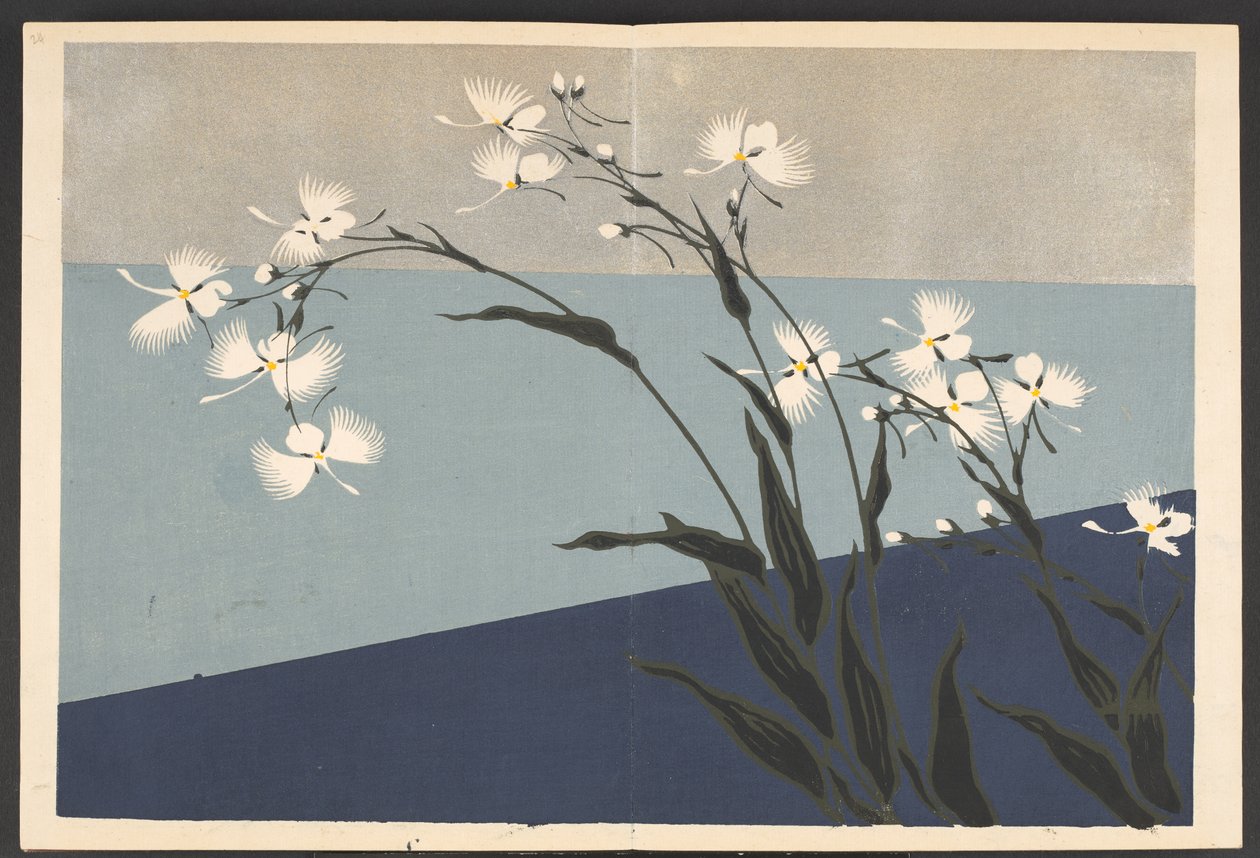 Shasei sôka môyô, Mönster av växter och blommor från livet av Furuya Korin