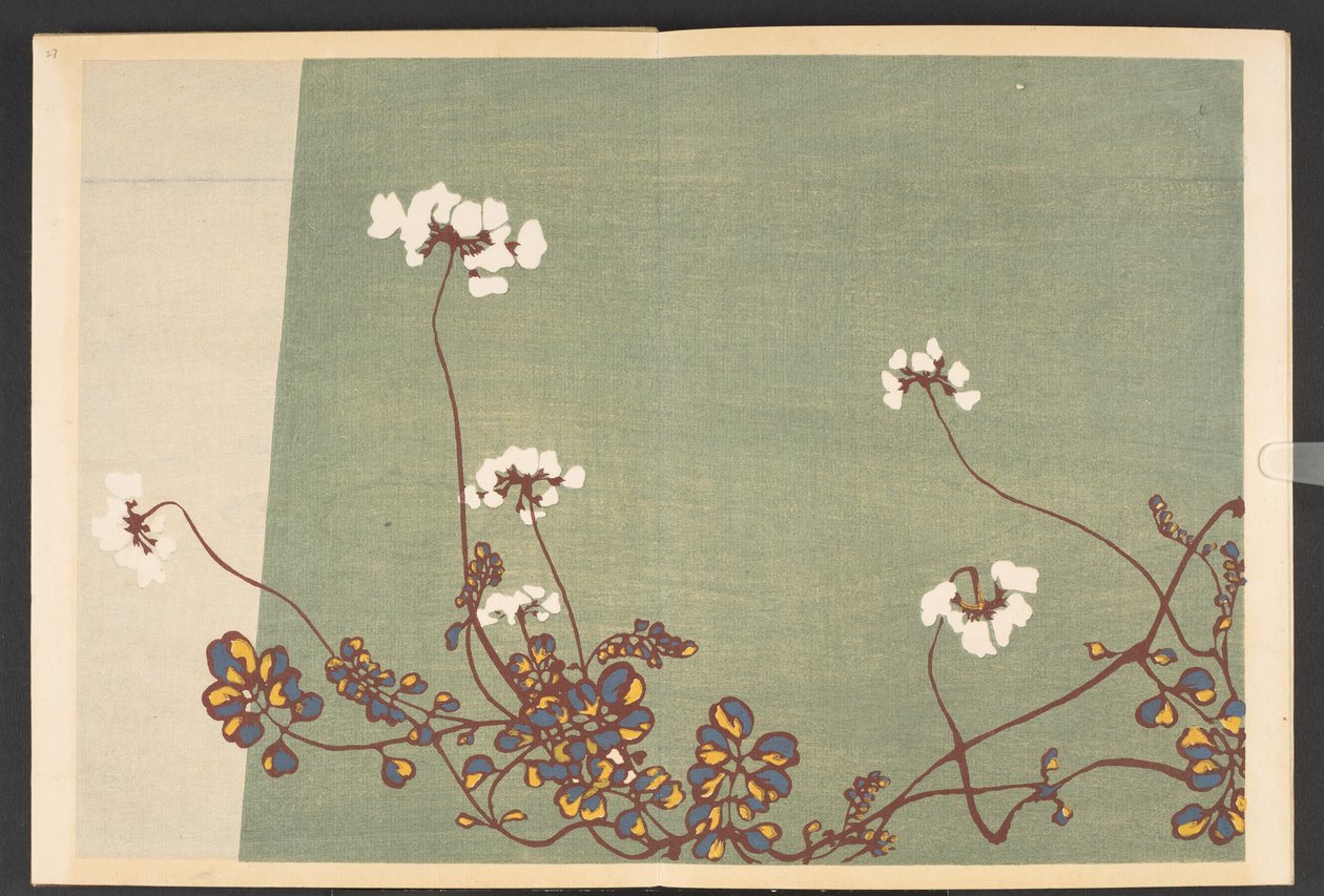Shasei sôka môyô, Mönster av växter och blommor från livet av Furuya Korin