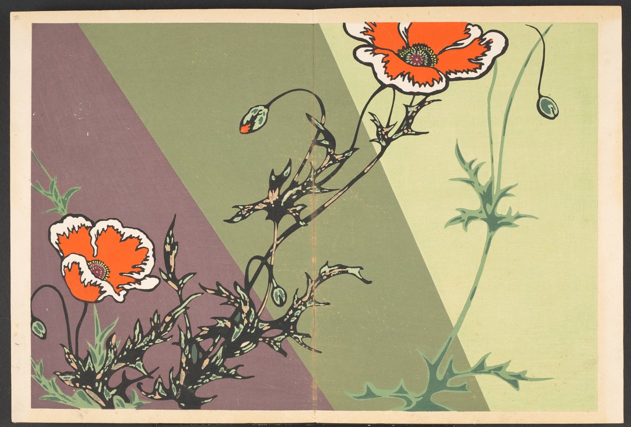 Shasei sôka môyô, Mönster av växter och blommor från livet av Furuya Korin