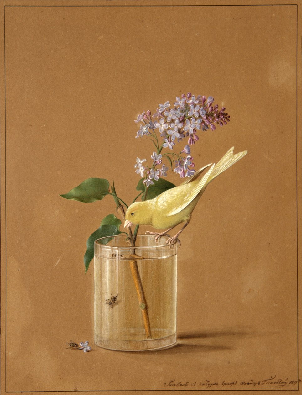 Kanariefågel på en lila gren, 1819 av Fyodor Petrovich Tolstoy