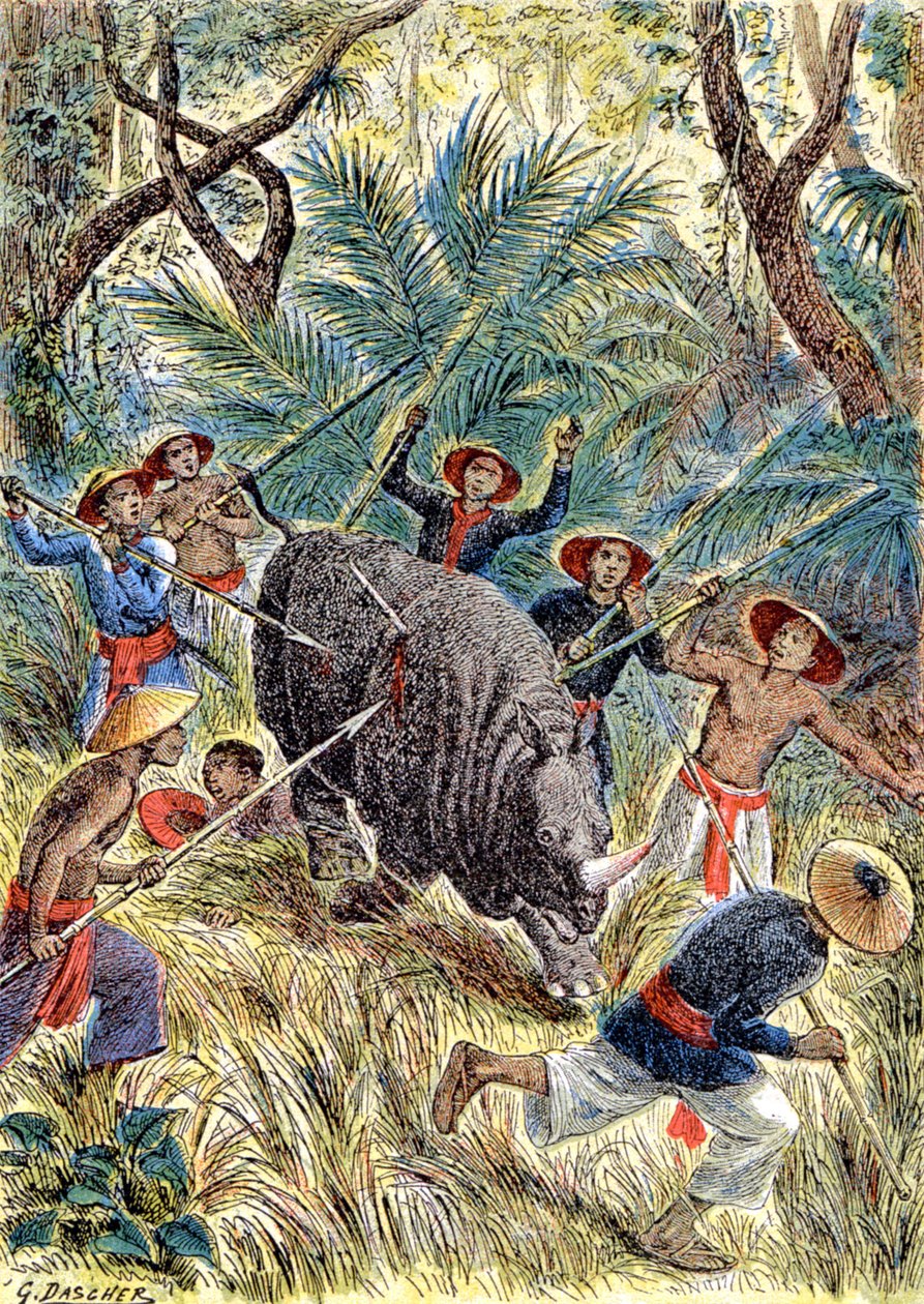 Jakt på noshörning, Franska Indokina, ca 1900 (illustration) av G. Dascher