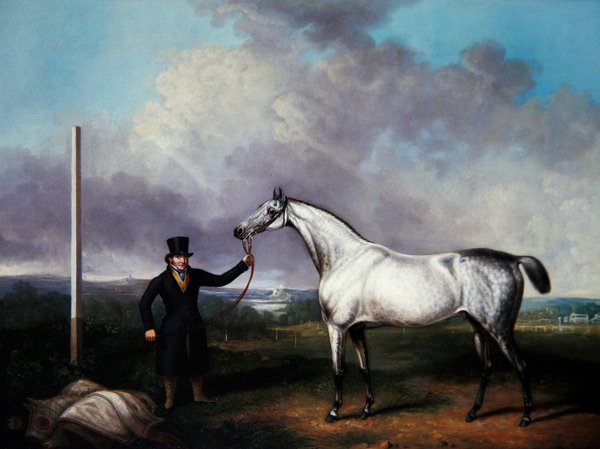 Gentleman som håller en grå kapplöpningshäst på en bana (olja på duk) av G. Jackson