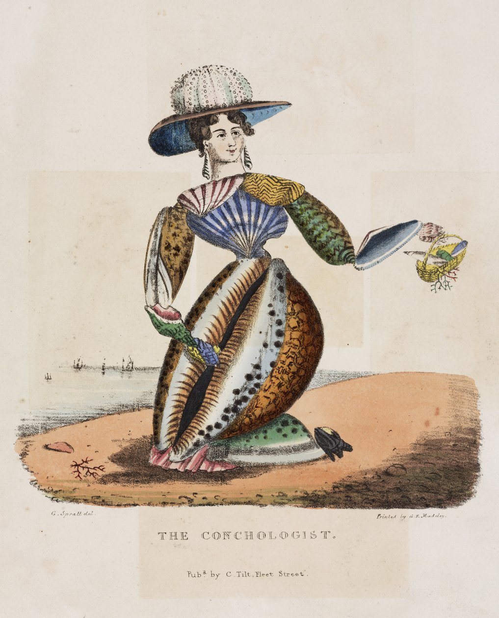 The Conchologist, c.1831 av G. Spratt