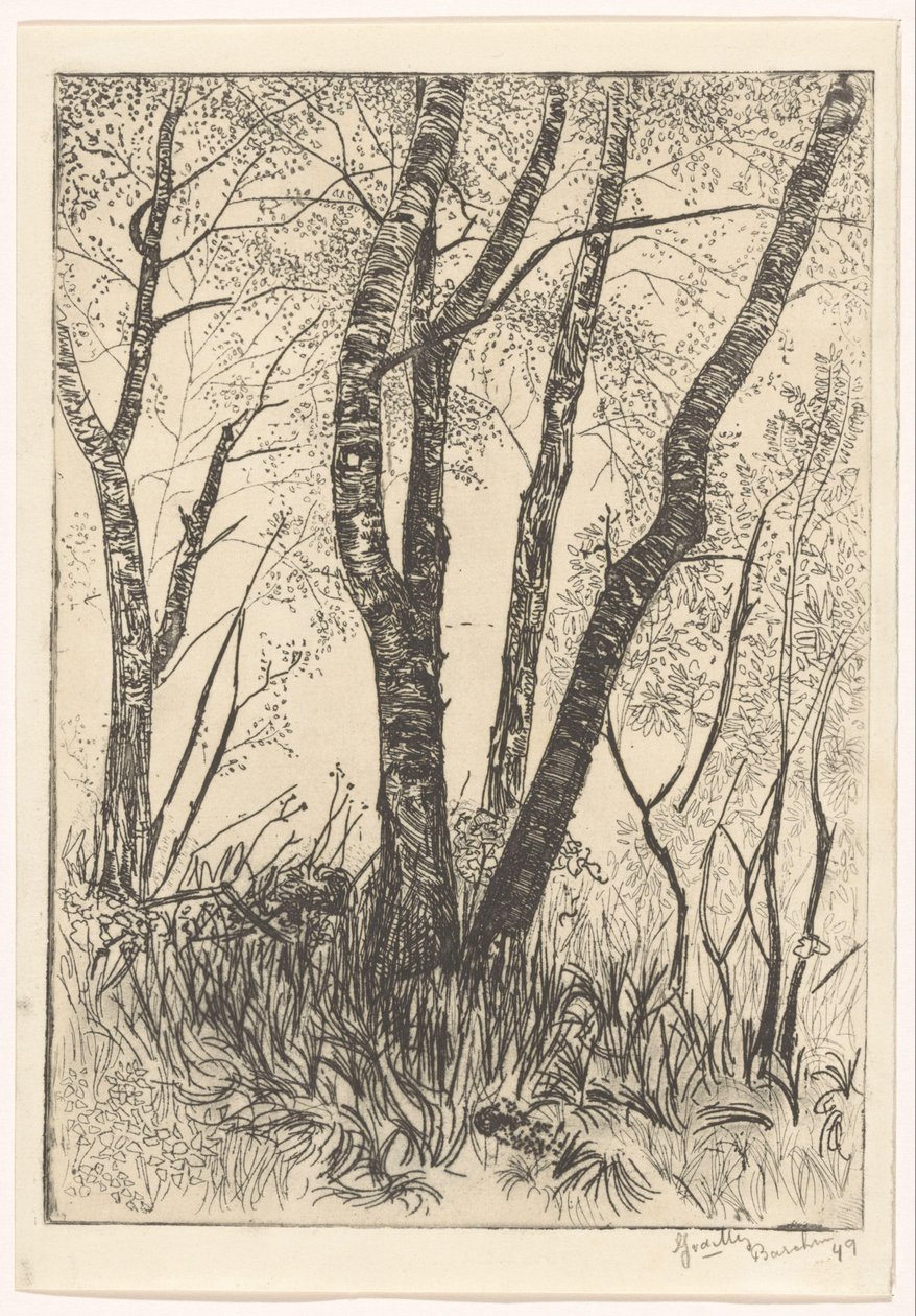 Träd i högt gräs av G. van der Mey (signed by artist)