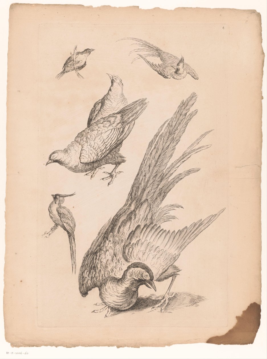 Zes kinesiska fåglar Verschillende kinesiska vogels (serietitel) Bok om olika fågelarter i Kina (serietitel) av Gabriel Huquier (attributed to)