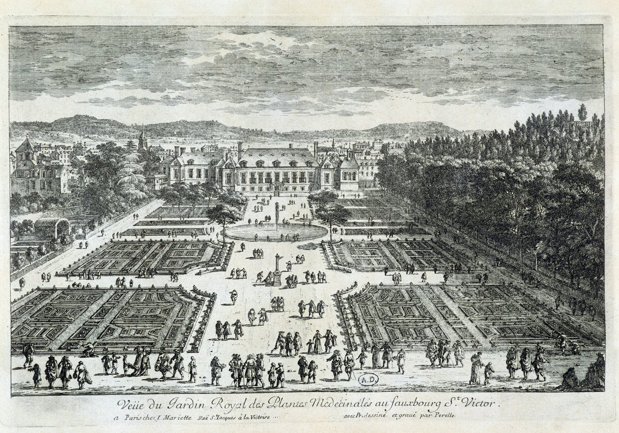 Utsikt över Jardin des Plantes på 1600-talet, av Perelle av Gabriel Perelle
