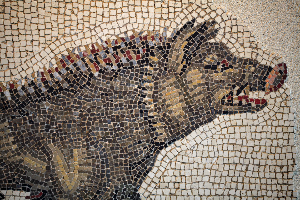 Romersk mosaik av Gallo-Roman