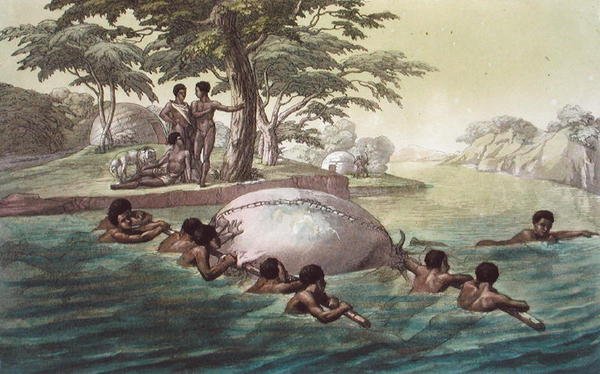 Gingri Tribesmen Crossing the River Zebee, skylt 67 från 
