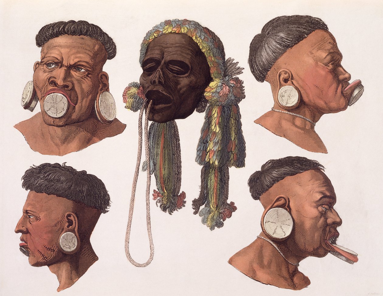 Heads of Botocudos Indians (färggravyr) av Gallo Gallina