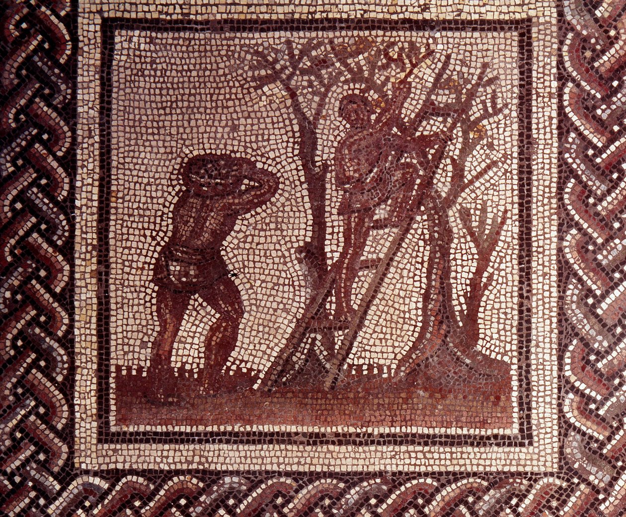 Gallo Roman Art: mosaikbeläggning som representerar en rustik kalender. Olivplockningsscen. Slutet 2:a, början av 300-talet efter JC. Från Saint-Romain-en-Gal (Rhone). Saint Germain en Laye, Nationalmuseet för arkeologi av Gallo Roman