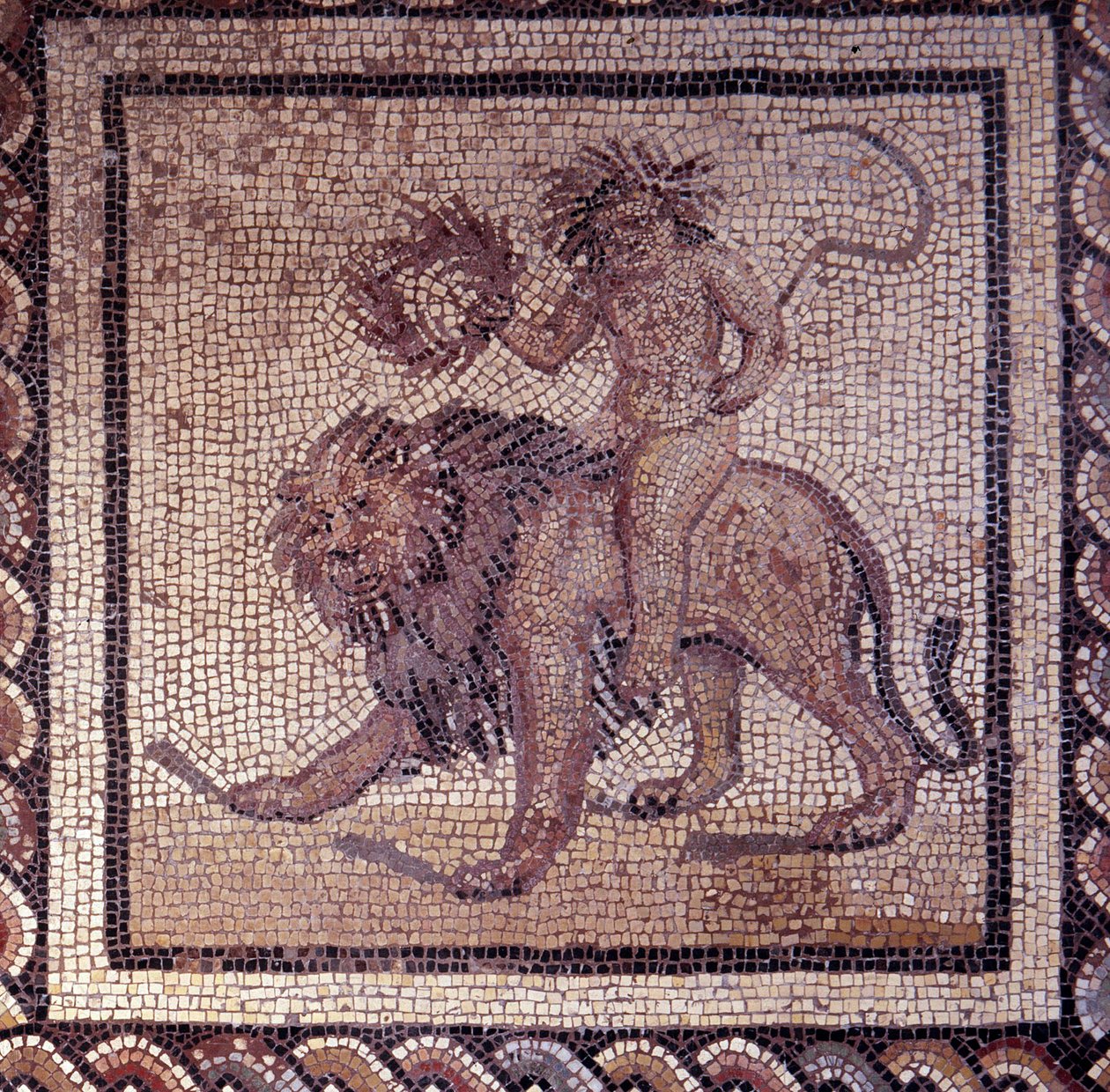 Gallo Roman Art: mosaikbeläggning som representerar en rustik kalender. Sommar allegori om ett lejon. Slutet 2:a, början av 300-talet efter JC. Från Saint-Romain-en-Gal (Rhone). Saint Germain en Laye, Nationalmuseet för arkeologi av Gallo Roman