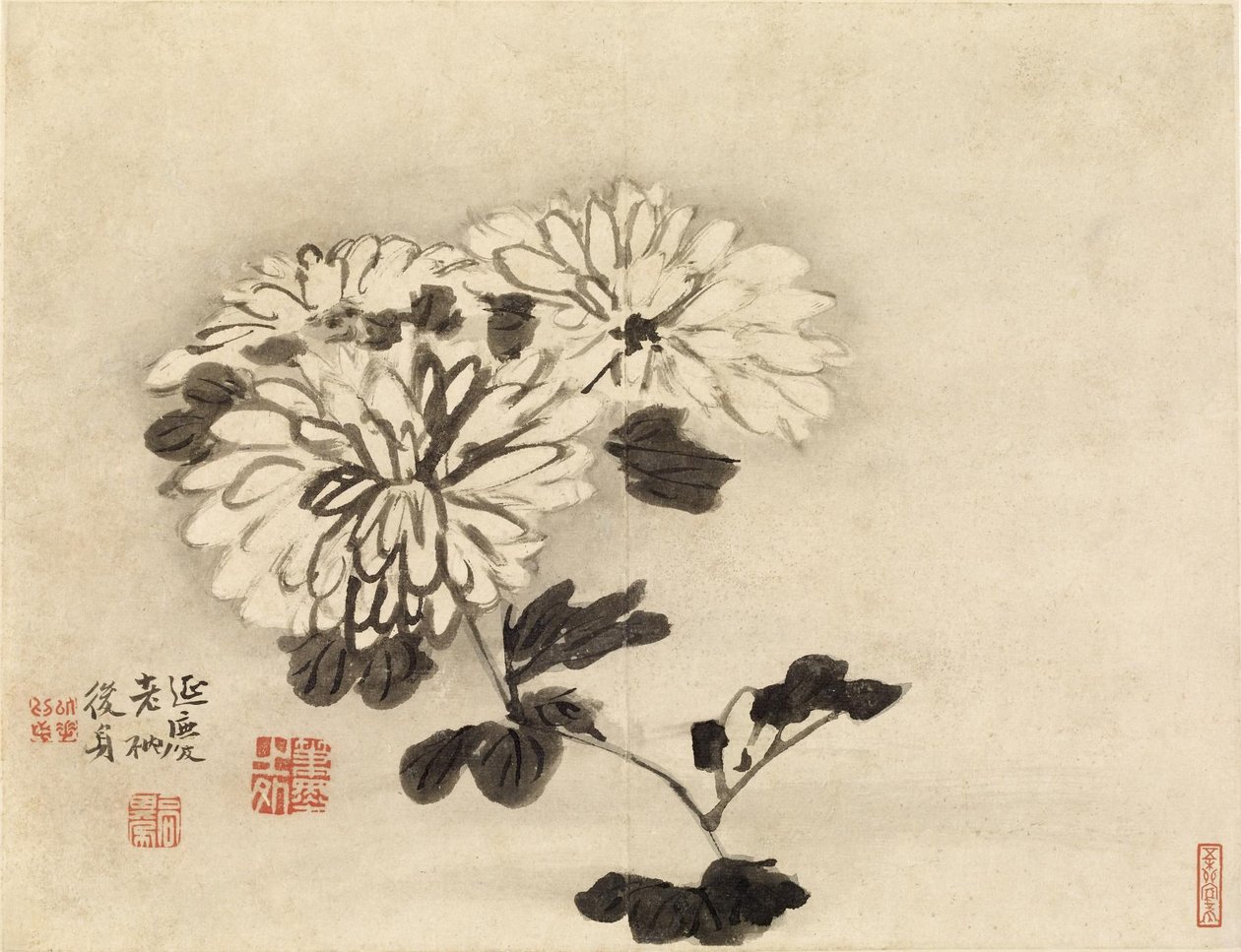 Chrysanthemums av Gao Qipei