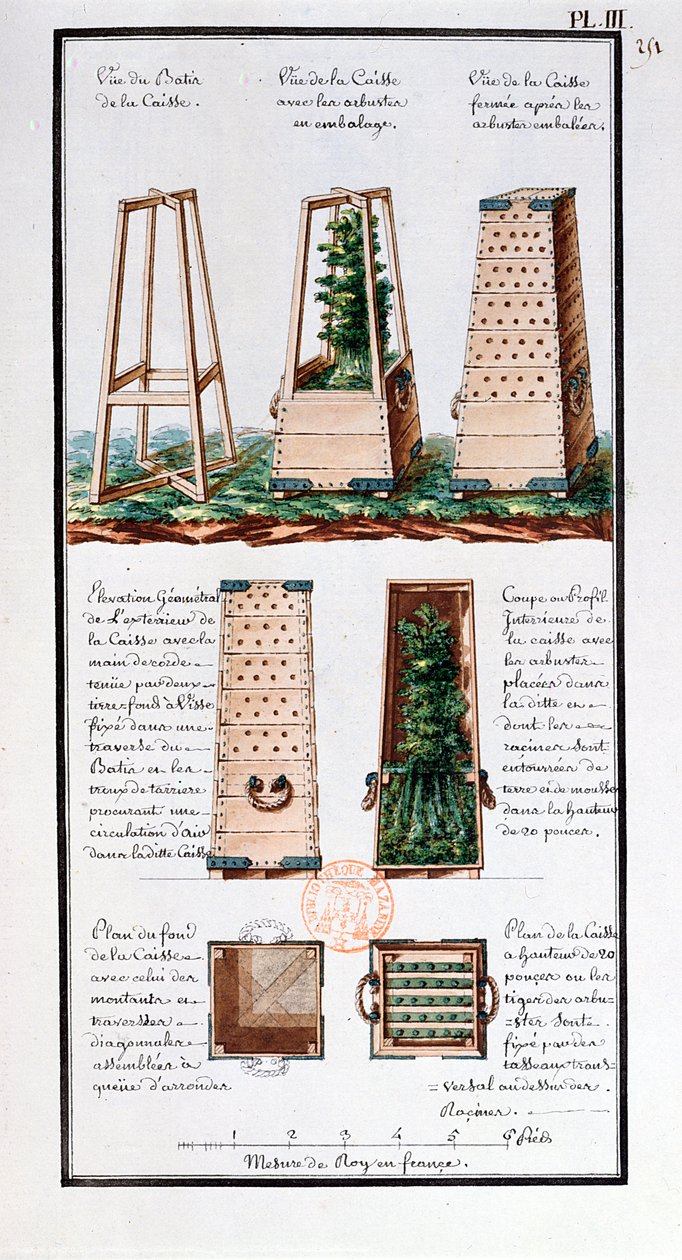 Illustration av ett speciellt skåp för att transportera buskar och buskar, från konstnärens anteckningsbok gjord under Jean-Francois Gallup de la Perouses expeditioner (1741-88) (penna och bläck och wc på papper av Gaspard Duche de Vancy