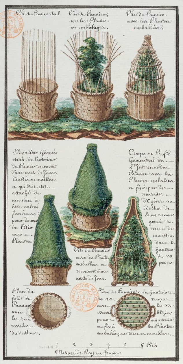 Illustration av en vävd korg för att transportera växter, från konstnärens anteckningsbok gjord under Jean-Francois Gallup de la Perouses expeditioner (1741-88) (penna och bläck och wc på papper) av Gaspard Duche de Vancy