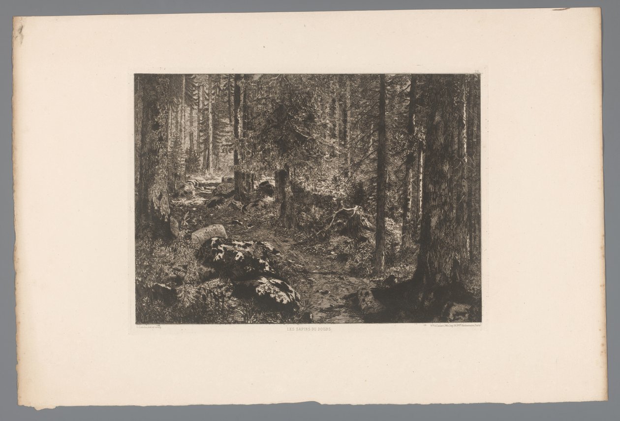 Boslandschap The Gran trees of the Doubs (titel på objekt) France etsen uit 1876 (serietitel) Etsning 1876 (serietitel) av Gaston Coindre