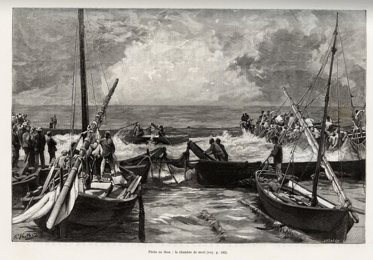 Tonfiskfiske (mattanza): dödskammaren, tonfiskpressar i ett trångt utrymme täcks av fiskarnas harpuner. Gravyr och berättelse "" La Sardaigne"" av Gaston Vuillier (1845-1915), 1890, i Le tour du monde, nouveau journal des voyages, under t. av Gaston Vuillier