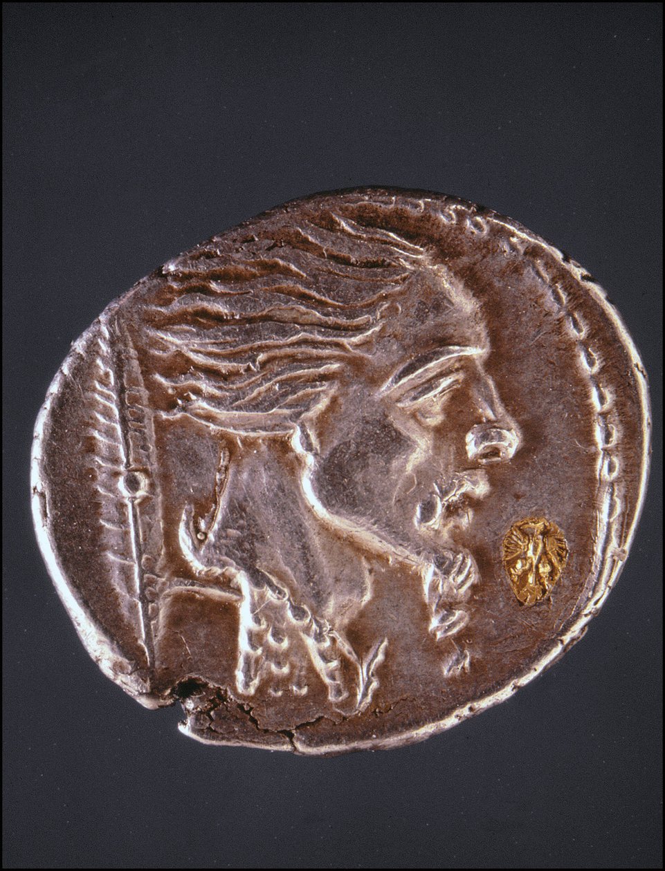 Förmoda profil av Vercingetorix på ett Gauloise-stycke. Medaljsamlingens museum. Milano av Gaulish Gaulish