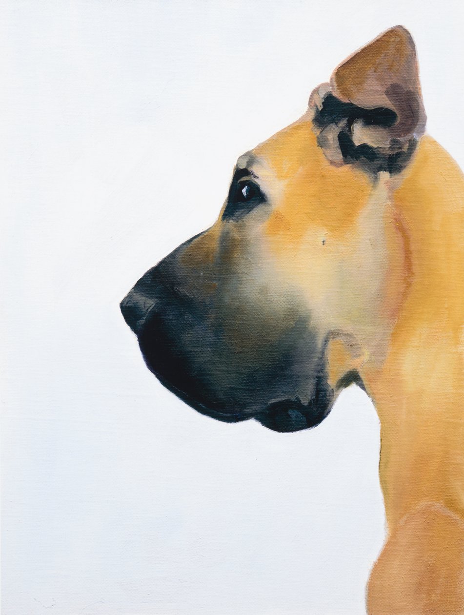 Great Dane, 2016 (olja på pannå) av Genevieve French