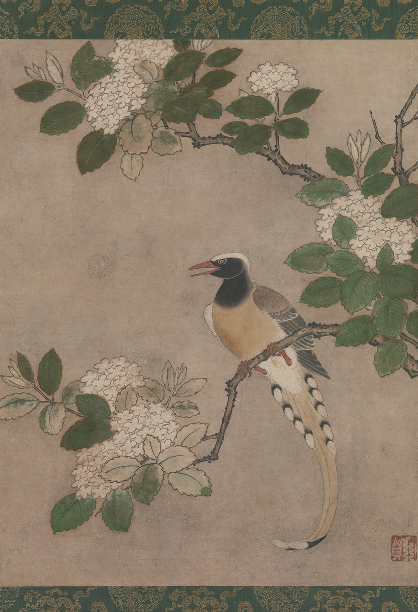 Skata på Viburnum Branch, tidigt 1500-tal. av Genga