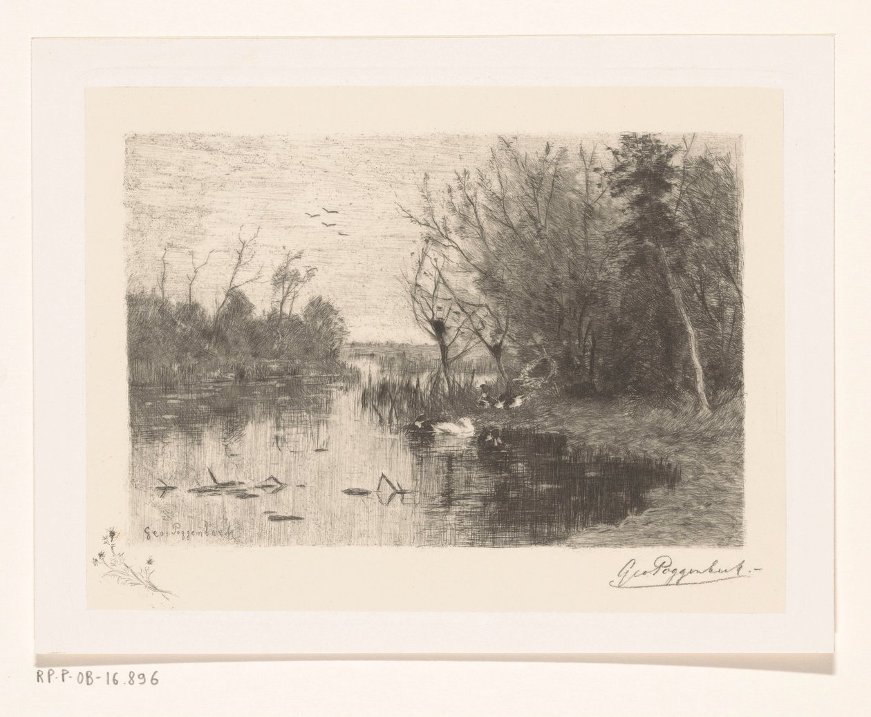 Ankor längs och på stranden av en sjö Duck pee (originaltitel) av Geo Poggenbeek (signed by artist)