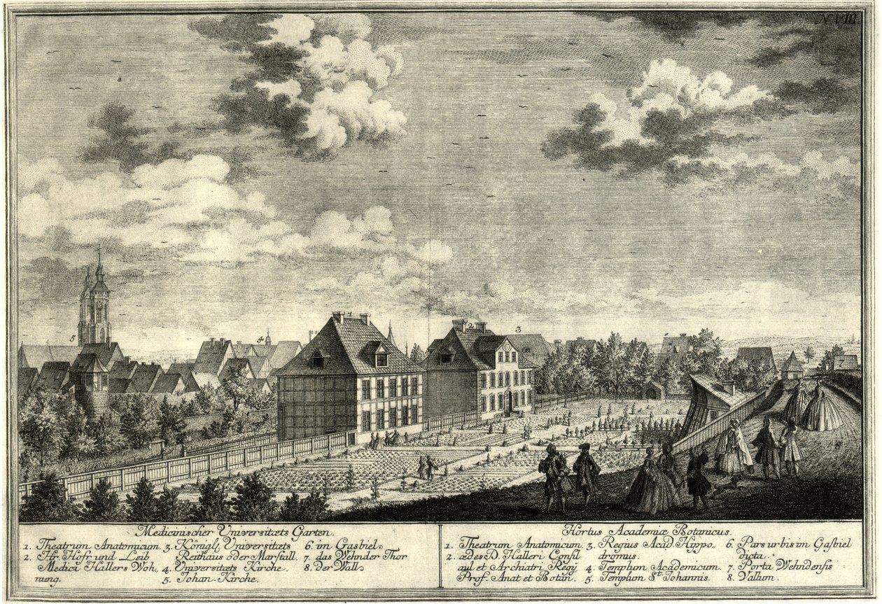 Göttingen gamla botaniska trädgård av Georg Daniel Heumann