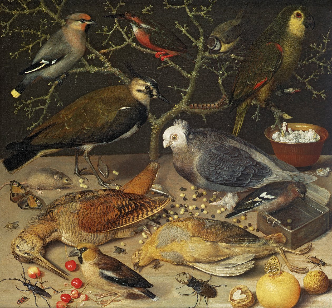 Stilleben av fåglar och insekter, 1637 av Georg Flegel
