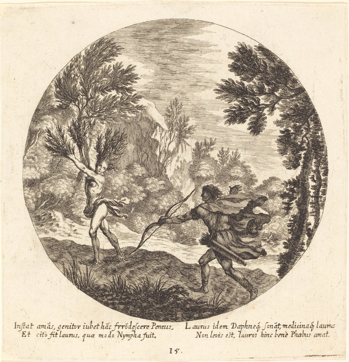 Daphne vänder sig till en lagerbär av Georg Andreas Wolfgang the Elder