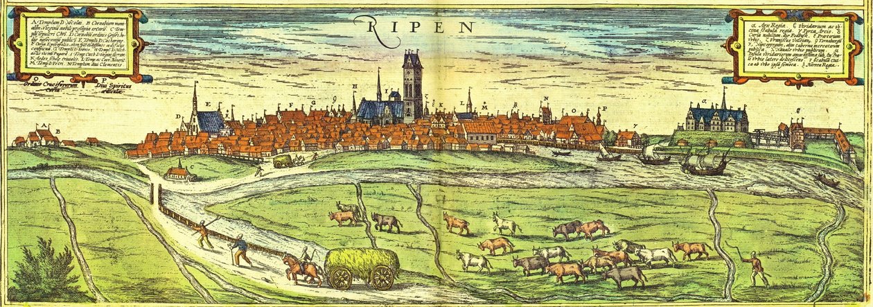Ribe, Danmark av Georg and Hogenberg Franz (1535 90) Braun