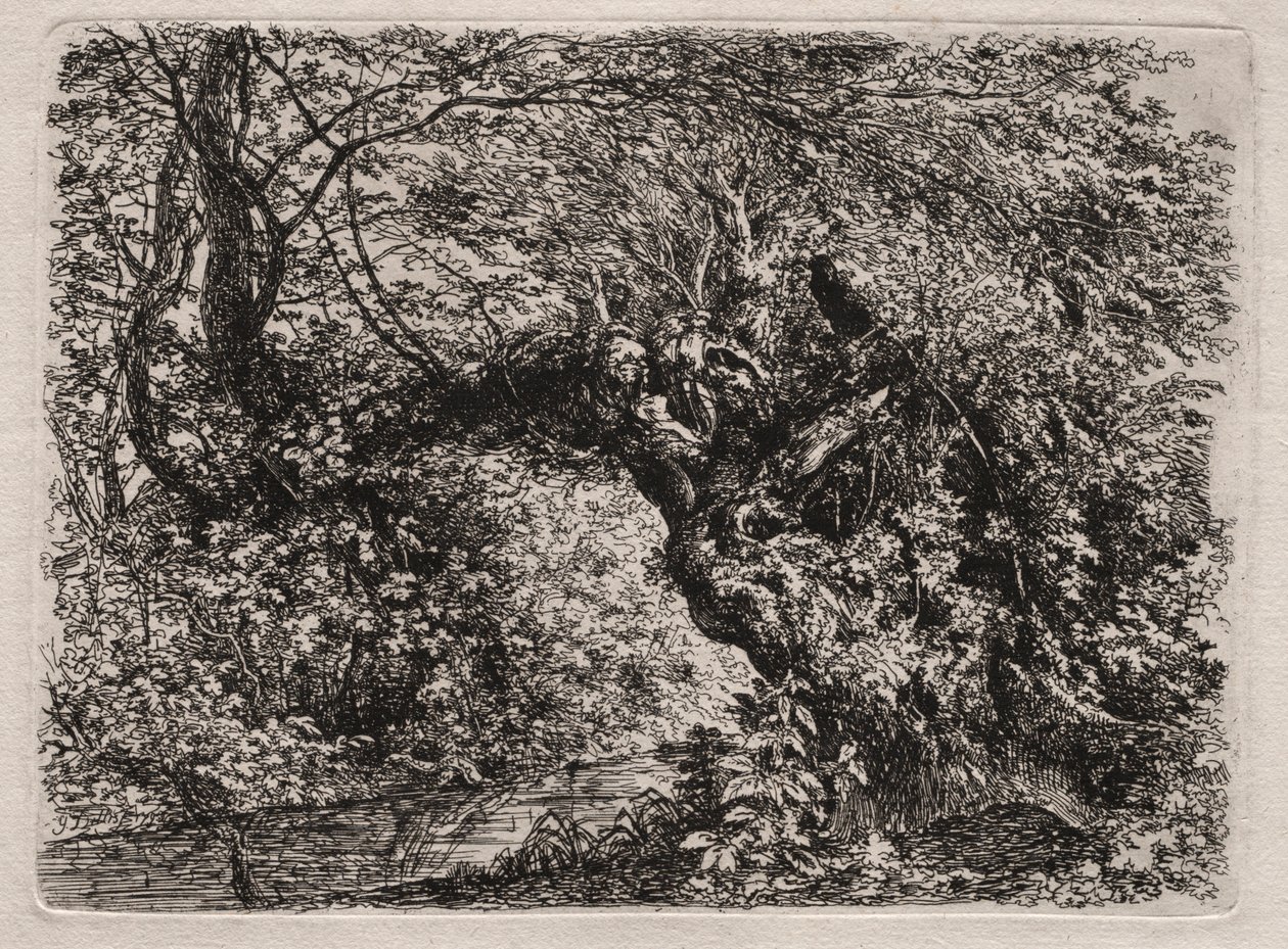 Den gamla pilen vid en bäck, 1794. av Georg von Dillis