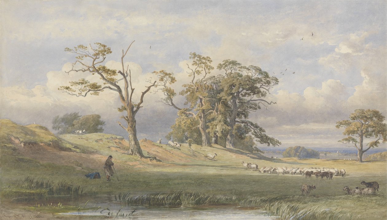 Old British Camp i Bulstrode Park, 1860 (wc över grafit på papper) av George Arthur Fripp