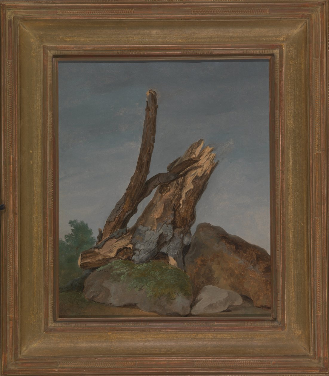 Studie av stenar och grenar av George Augustus Wallis