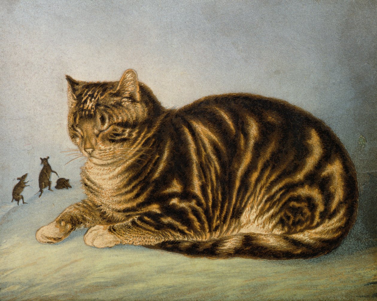 Puss Napping (tryck) av George Baxter