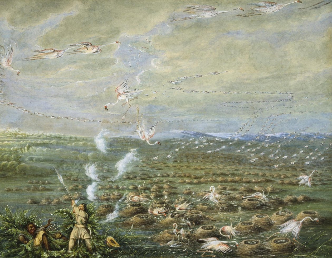 Flamingoskytte i Sydamerika av George Catlin