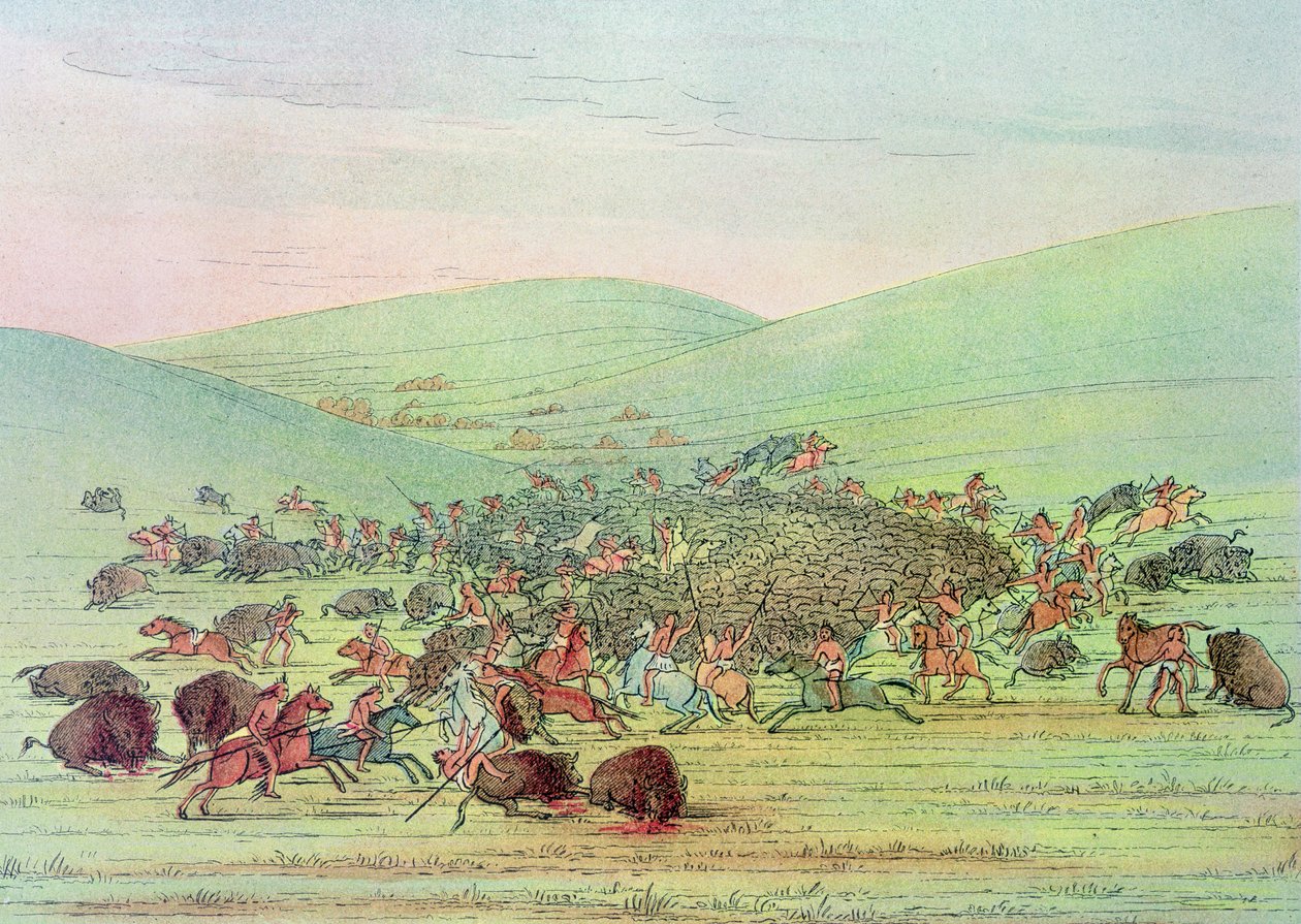 Minatarees attackerar bufflar till häst av George Catlin