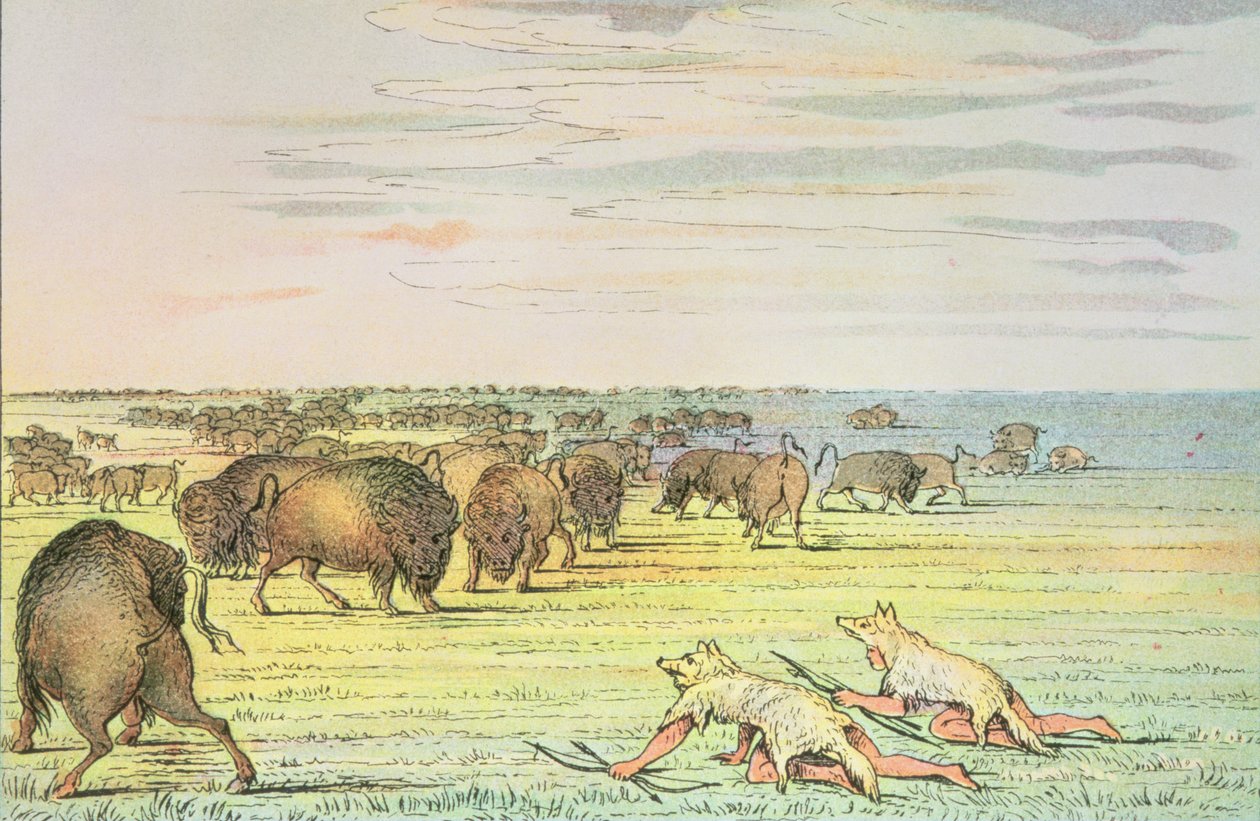 Förföljer buffel av George Catlin