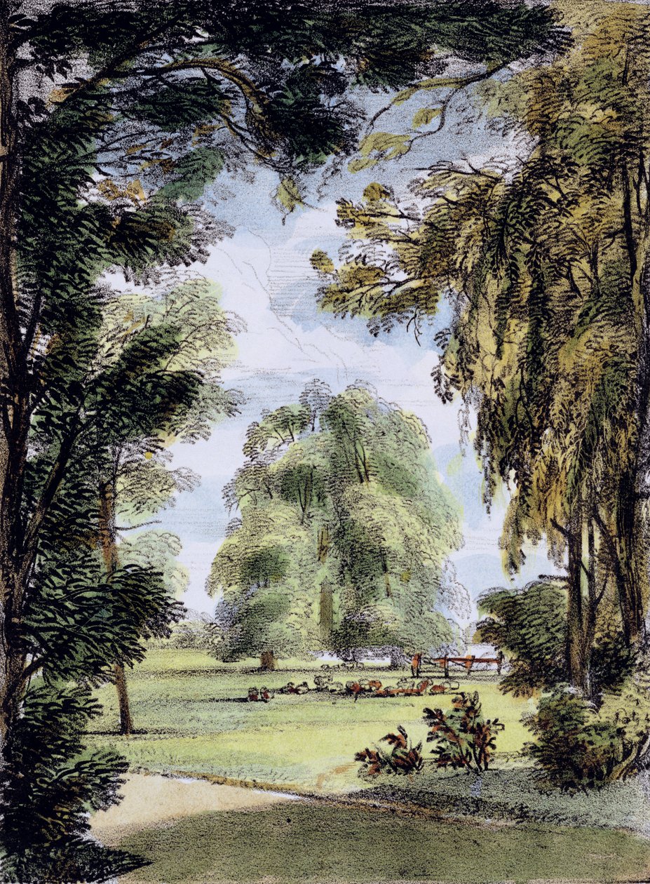 The Sister Trees, Kew Gardens, plåt 8 från 
