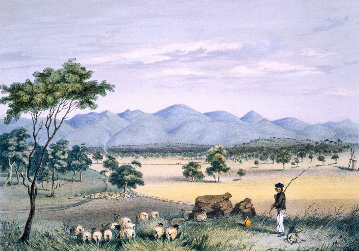 Lynedoch Valley med utsikt mot Barossa Range, från "South Australia Illustrated", publicerad 1847 (handfärgad gravyr) av George French Angas