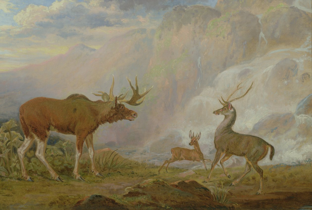 Earl of Orfords älg, antilop och stag av George Garrard