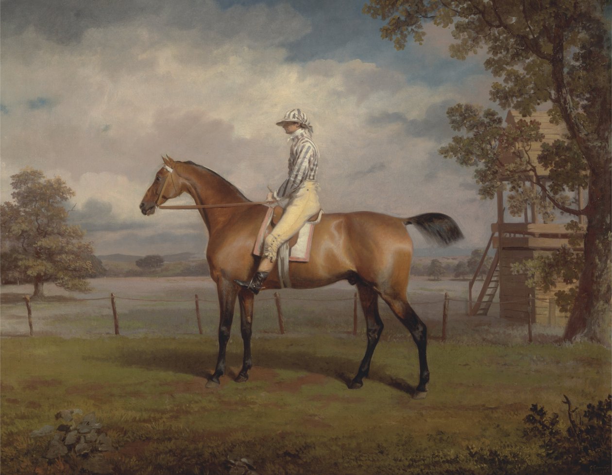 Porträtt av en tävlingshäst, möjligen förklädnad, hertigen av Hamiltons egendom, med Jockey Up av George Garrard