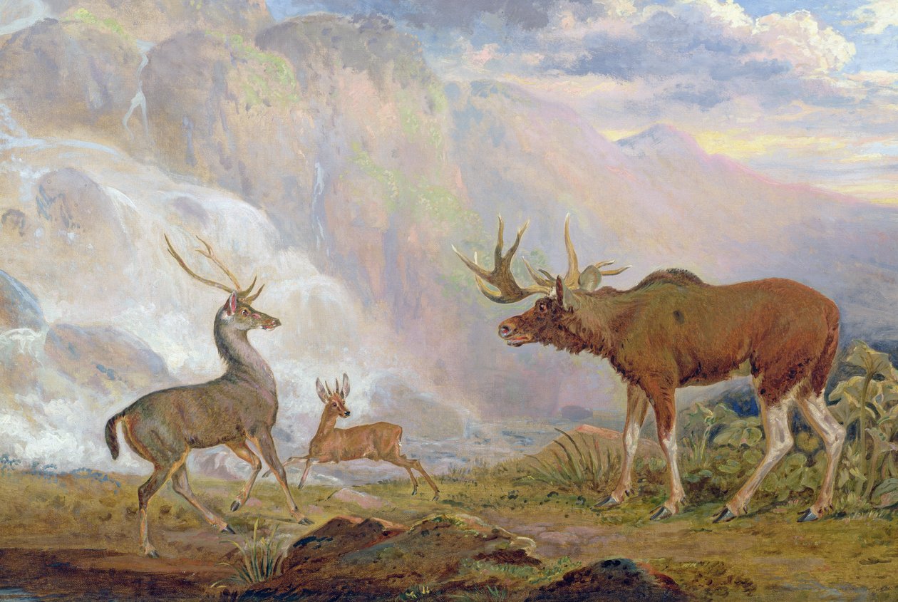 Earl of Orfords älg från Norge, antilop från Afrika och hjort från Prince