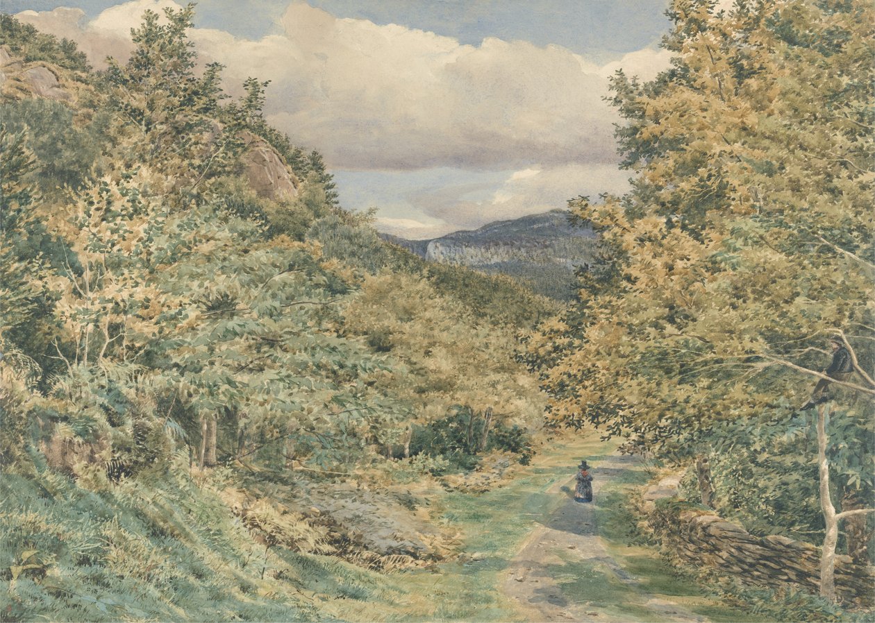 A Road near Bettws-y-Coed, 1851 (wc över grafit på papper) av George Price Boyce