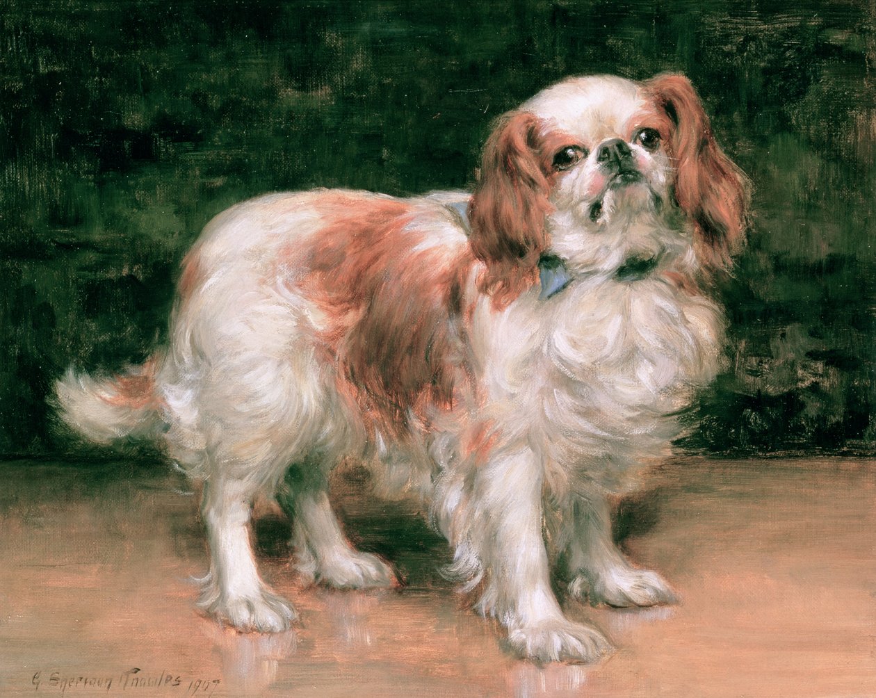 King Charles Spaniel, 1907 av George Sheridan Knowles