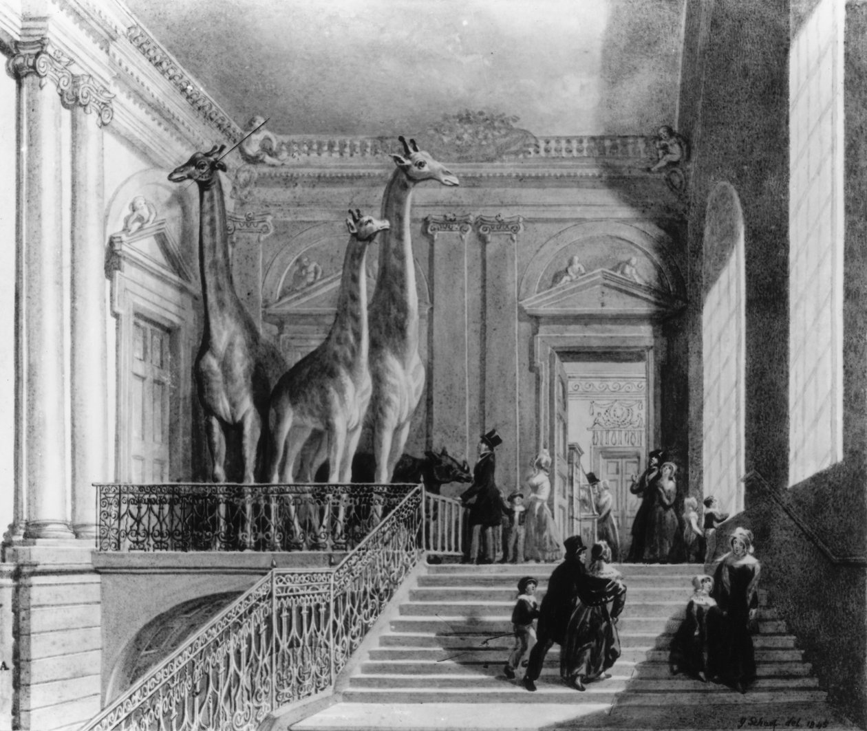 Giraffer på trappan i British Museum, 1845 (penna och bläck och wc på papper) av George Snr Scharf