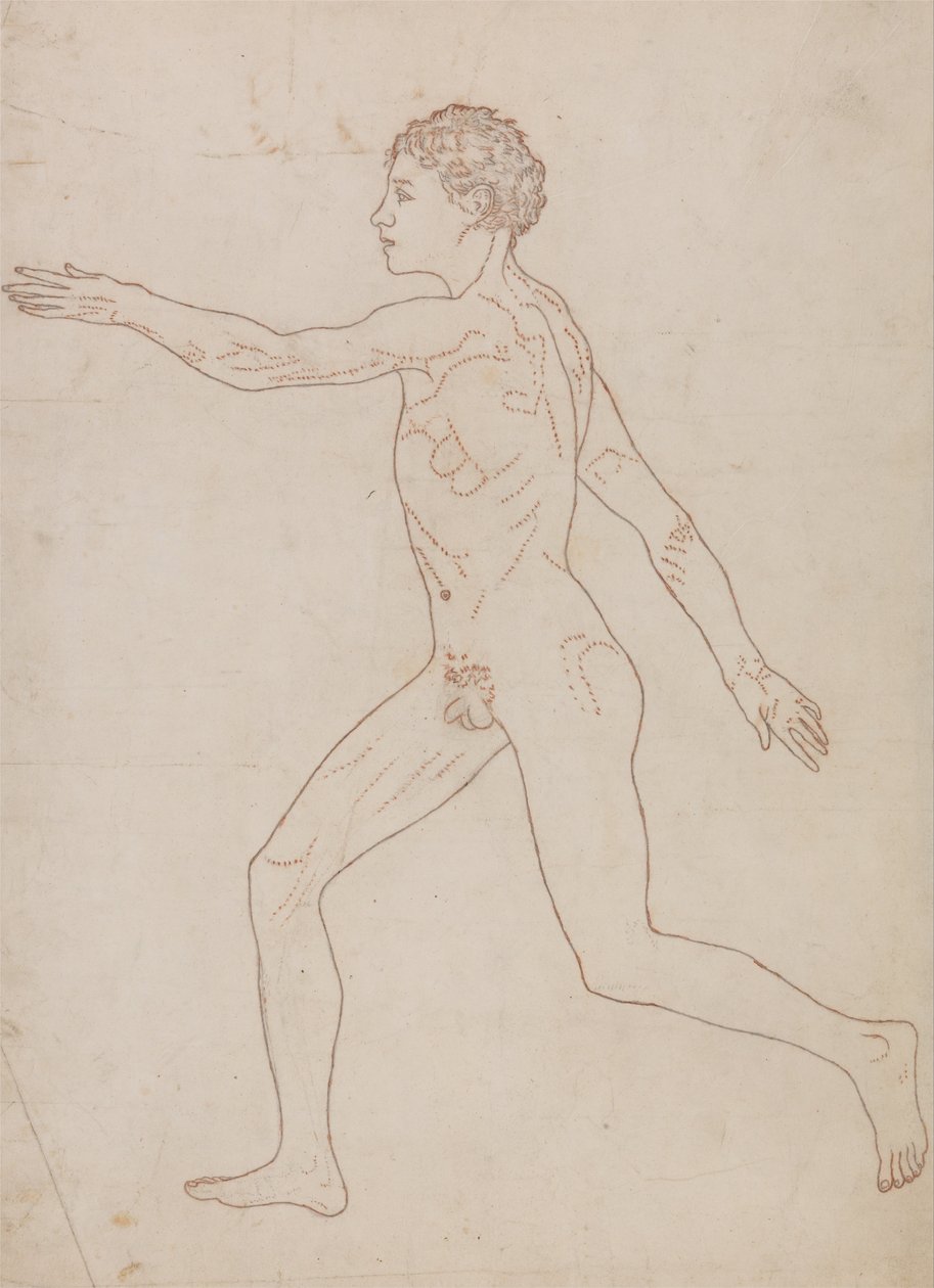 En jämförande anatomisk exponering av människokroppens struktur med en tiger och en ... av George Stubbs