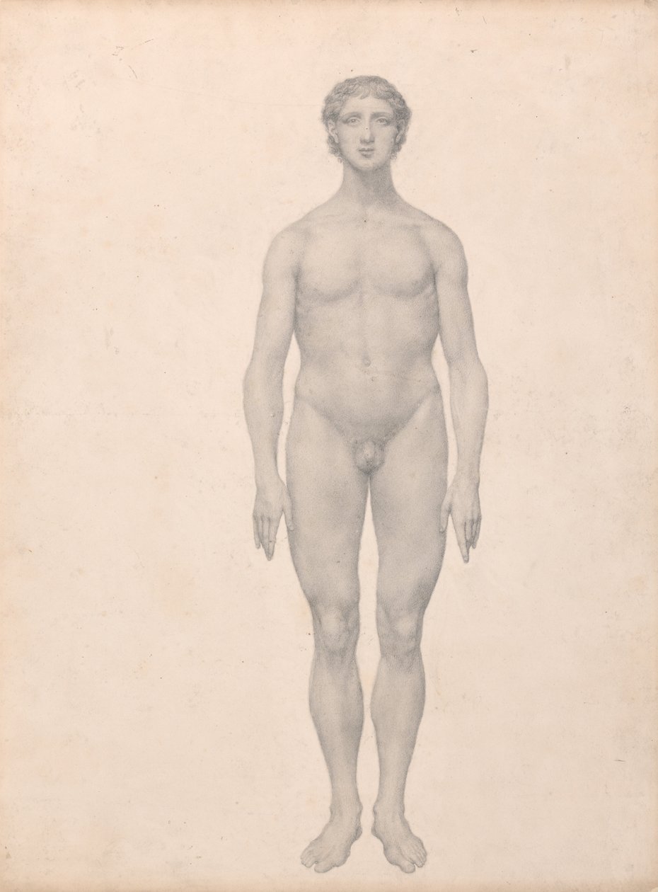 En jämförande anatomisk exponering av människokroppens struktur med en tiger och en ... av George Stubbs